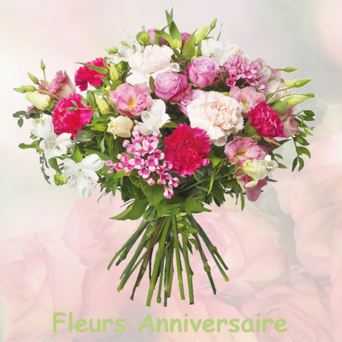 fleurs anniversaire SALLES-DE-VILLEFAGNAN